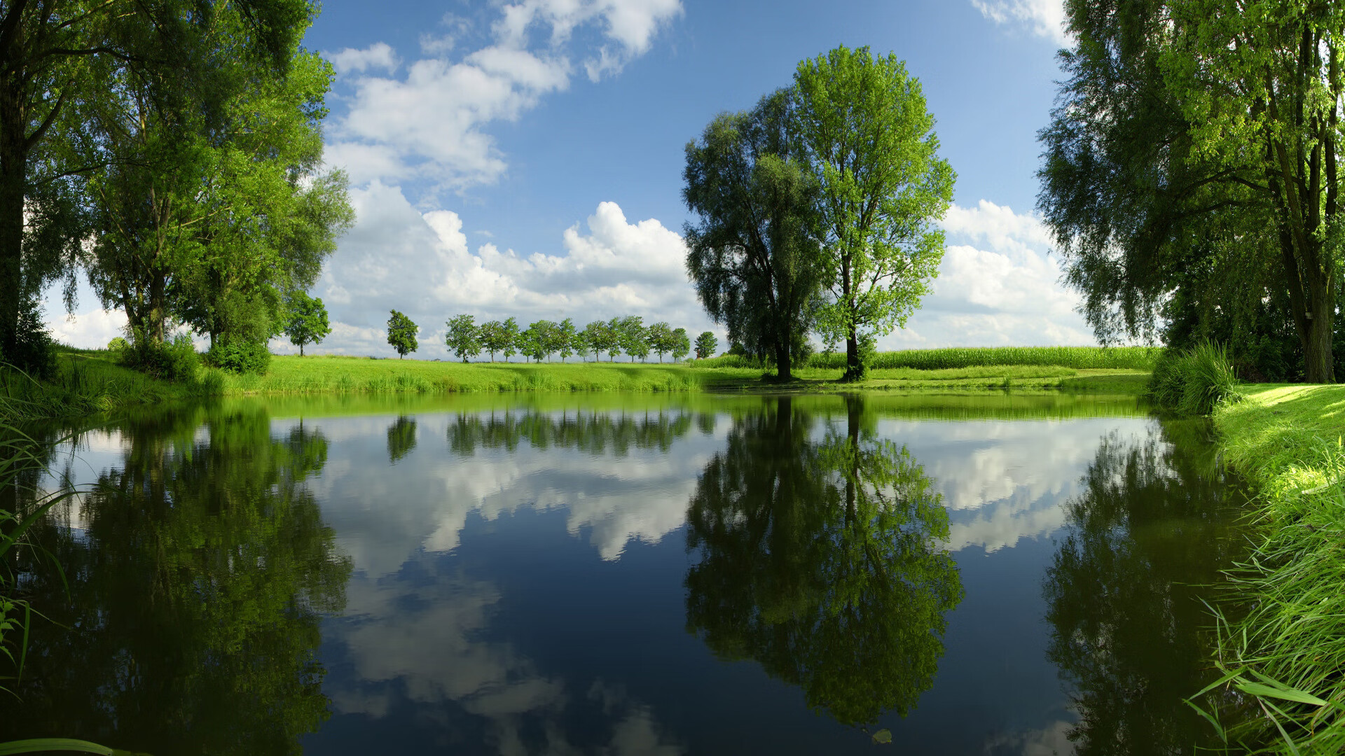 世界体能恢复科研基金第72轮资助指南与评审时间表公布，国际体能大会